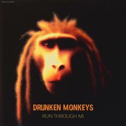 Run Through Mi (Radio Edit)