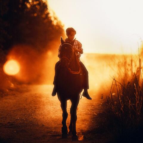 The Manger & The Mall