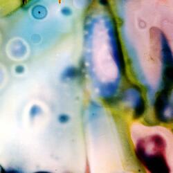 Complicated (Peter Galaksikov Remix) (feat. Peter Galaksikov)