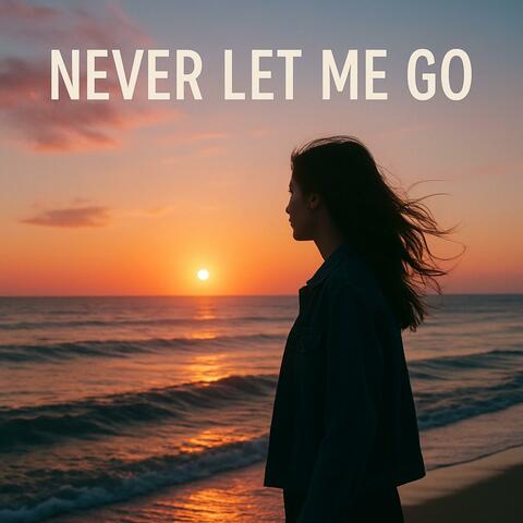 Never Let Me Go (Orignal cov)