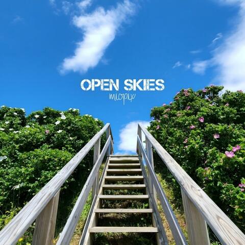 Open Skies