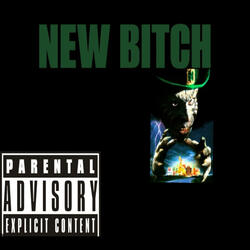 New Bitch