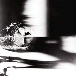 PVC (LOVIC RMX) (feat. Lovic)