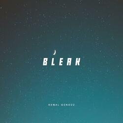 Bleak
