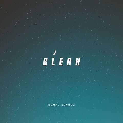 Bleak