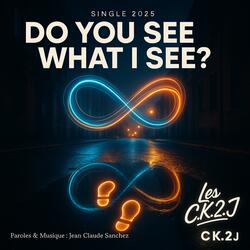 Do you see what i see ?