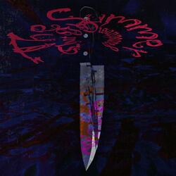 The Summer That I Disappeared