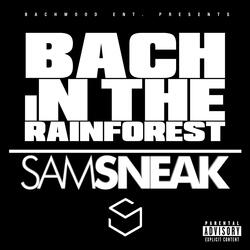 Bach In The Rainforest