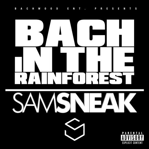 Bach In The Rainforest