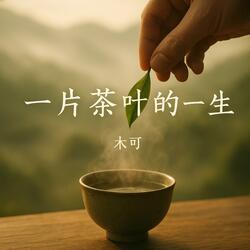 一片茶叶的一生