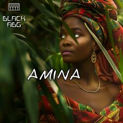 Afropop (AMINA)