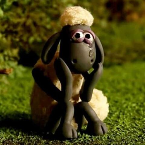 Calm Before The Storm