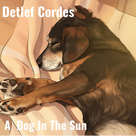 A Dog In The Sun