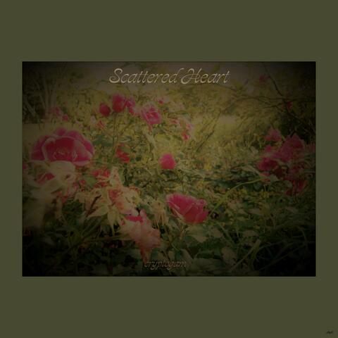Scattered Heart (Remastered 2025)