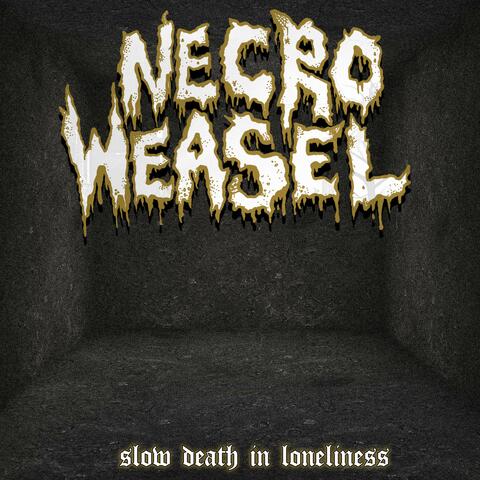 Slow Death in Loneliness