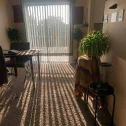 Since I Don't Have You