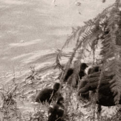 seasons (feat. Hxritage)