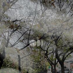 We keep on falling in love