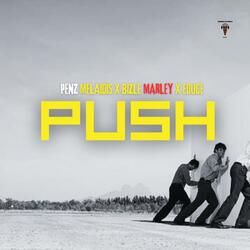PUSH (feat. Bizle Marley, Penz Melaidis & Educe)