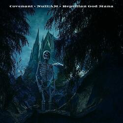 Dimensional Whip (Covenant Rmx) (feat. Reptilian God Mana & null:AM)