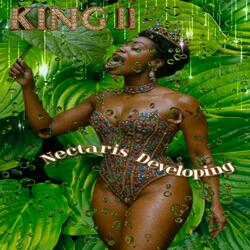 Nectaris Developing (Amrita Times) (feat. Pkingp, Dikc Squad & Pinchback Player Posse) (The Swappacoochi Tribe & DJ DJ Tornado Remix)