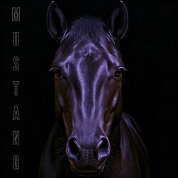 The Reflection Ritual (Remastered)