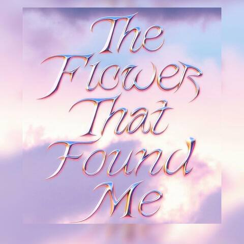 “The Flower That Found Me”
