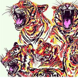 NBA (feat. unveiled)