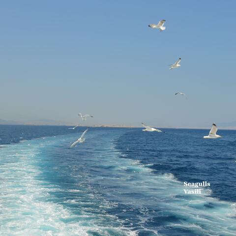 Seagulls