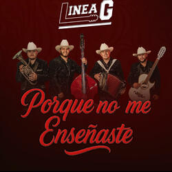 Porque no me Enseñaste