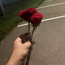 Wishing Wanting Waiting