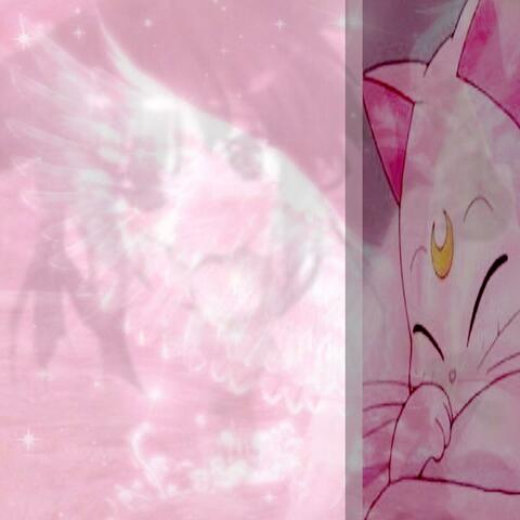 /ᐠ - ˕ -マ Ⳋ kitten