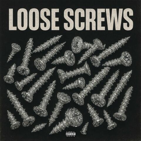 LOOSE SCREWS