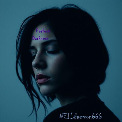 Perfect Darkness