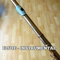 Zode Zode Falwa-Flute Cover By PKM KUMAR