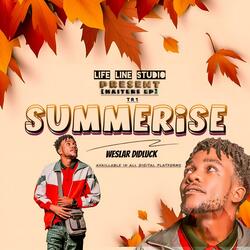 Summerise (Official Audio)