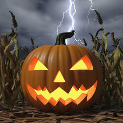 Pumpkins glow