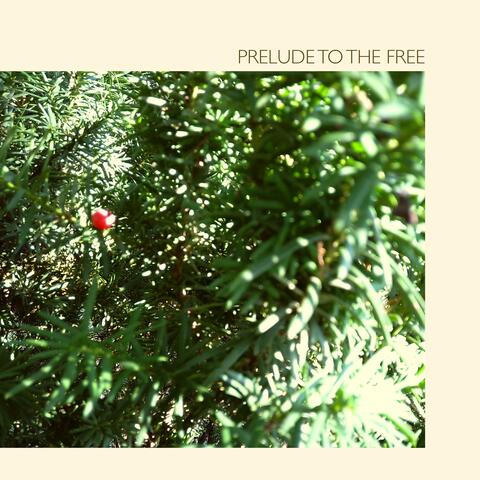 Prelude to the Free