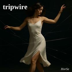 Tripwire