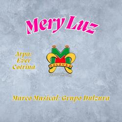 Mery Luz - Ando tomando