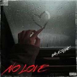 NO LOVE