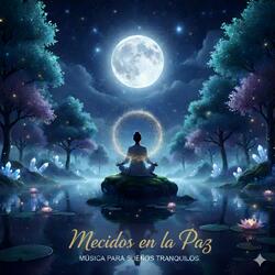 Mecidos en la Paz (Lofi)