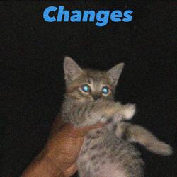 Changes