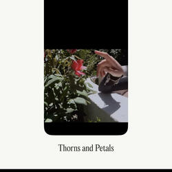 Thorns And Petals