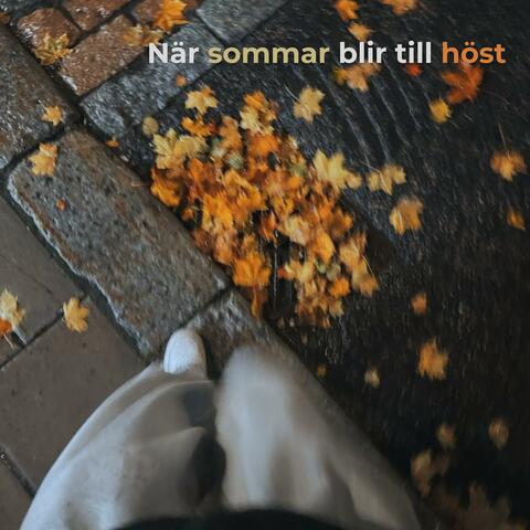 När sommar blir till höst