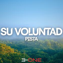 Su Voluntad (Pista)