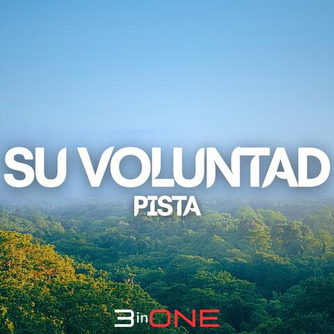 Su Voluntad (Pista)
