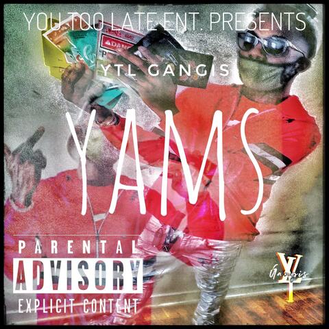 Yams/DreamTeam