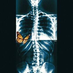 go with the flow (2018)