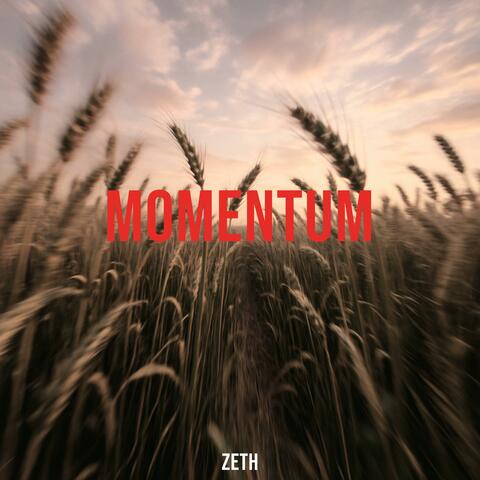 Momentum